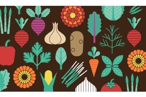 Companion Planting Guide for PNW Gardens
