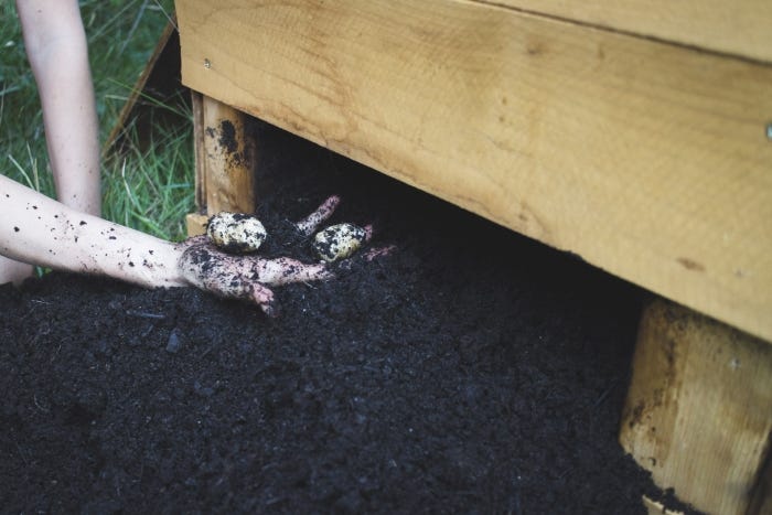 How to Build a DIY Potato Planter