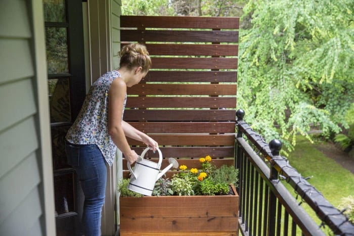 How to Make a DIY Privacy Screen Planter