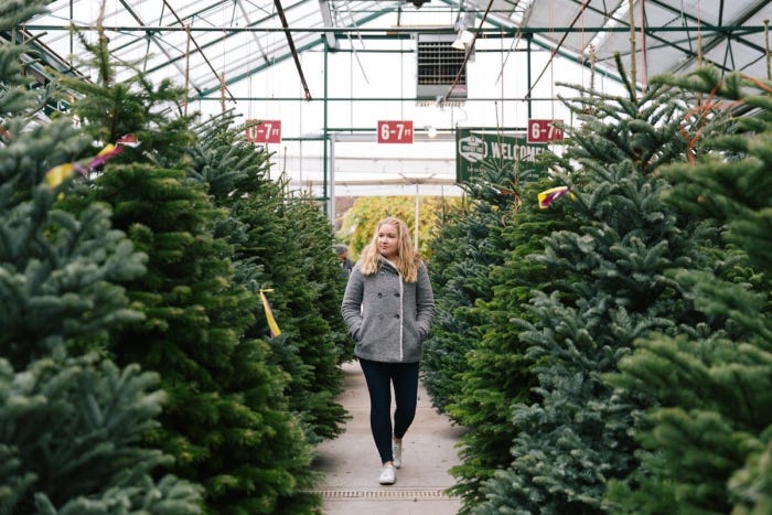 Swansons' Christmas Tree Comparison Guide