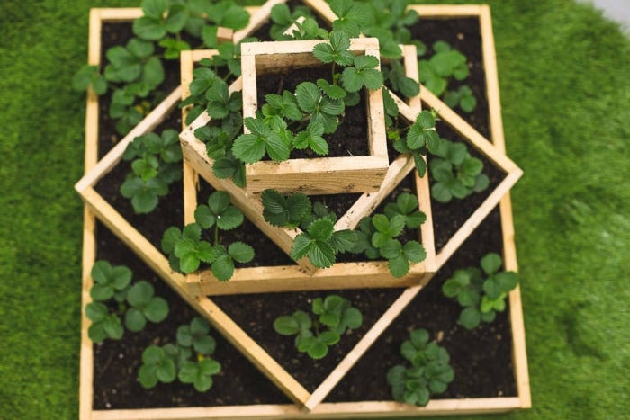 8 Posts To Get Your Garden Ready for Spring