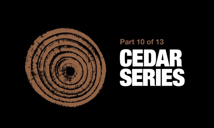 What Are the Best Practices When Installing Western Red Cedar Siding or Cladding?