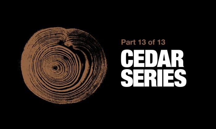 Best Practices for Staining and Finishing Cedar Decking