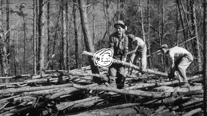 Dunn Lumber & Hampton Lumber: The Lumber Supply Chain