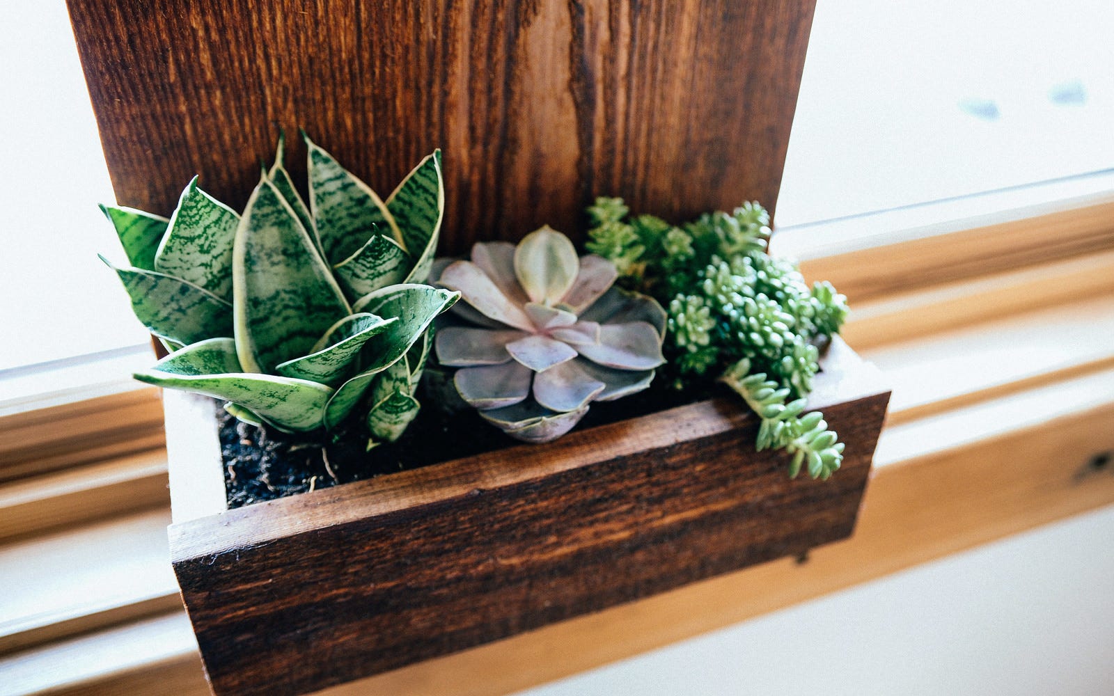 House Number Planter Box