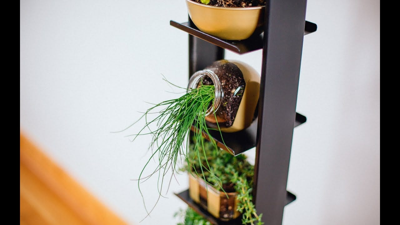 Earth Day Repurposed Planter