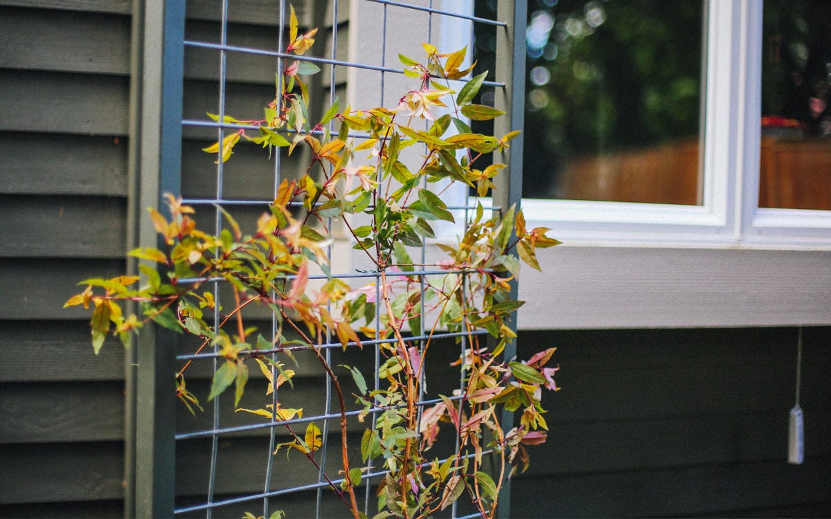 How To Build a Garden Trellis