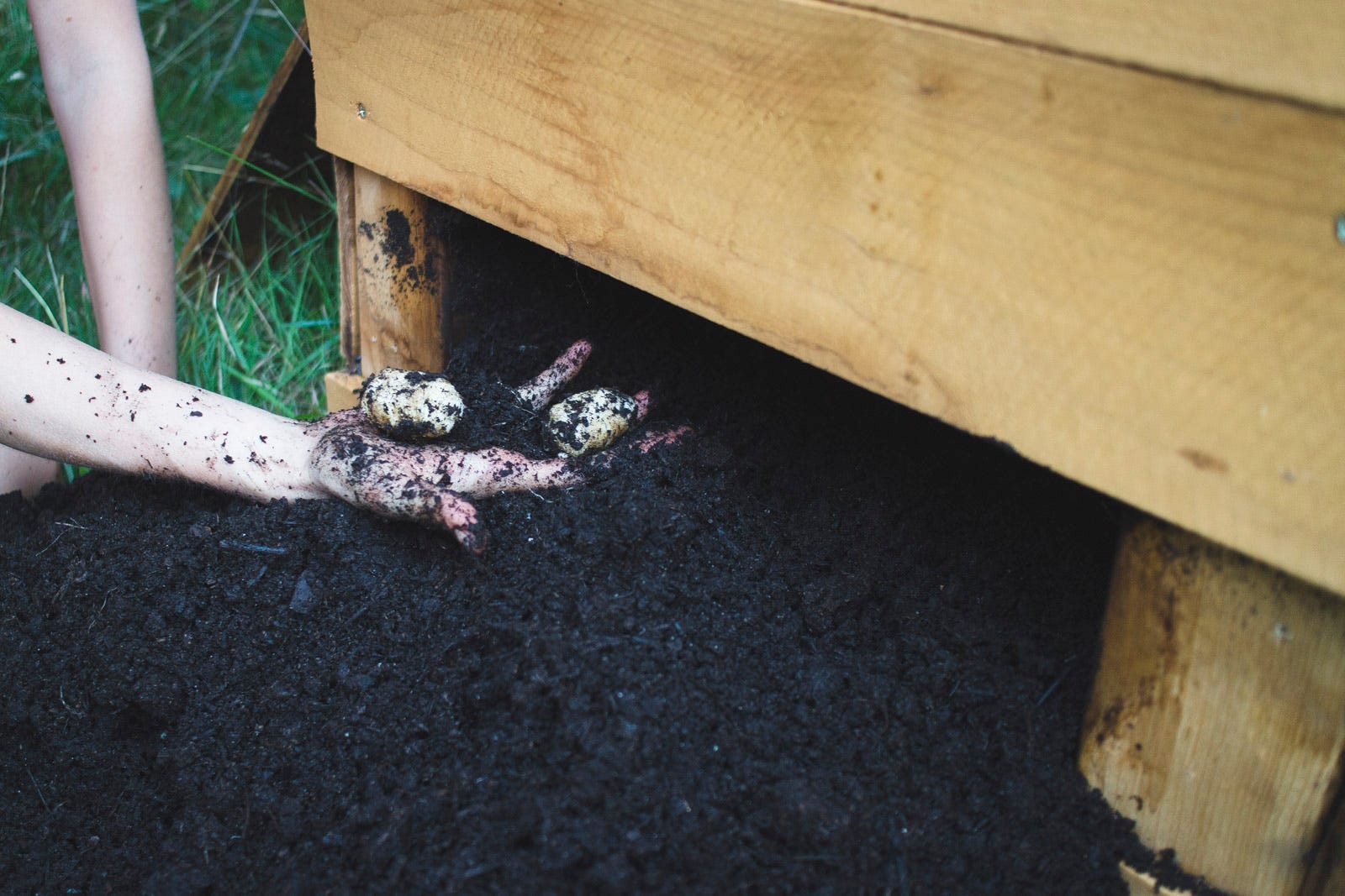 How to Build a DIY Potato Planter