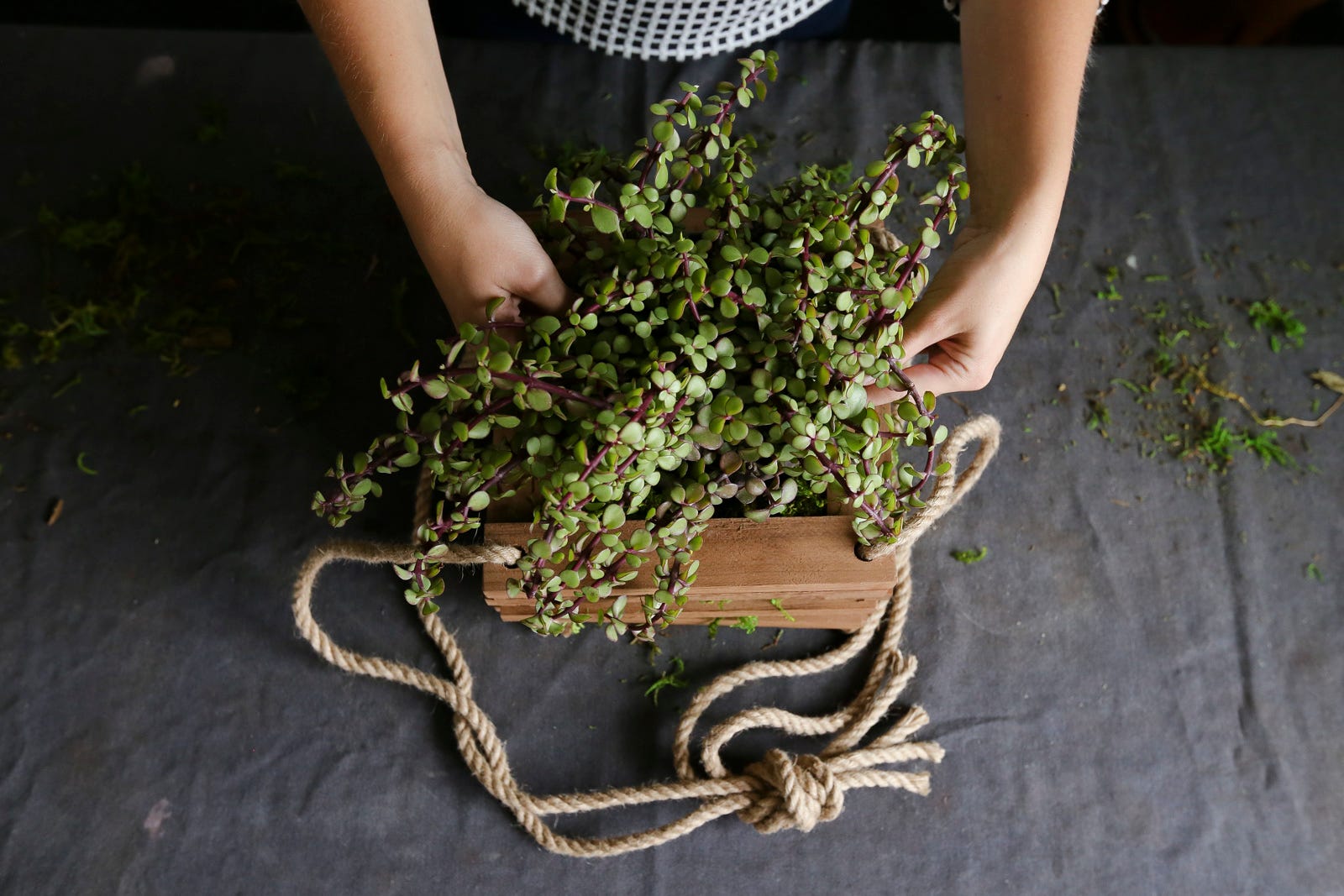 How to Make a Hanging Planter
