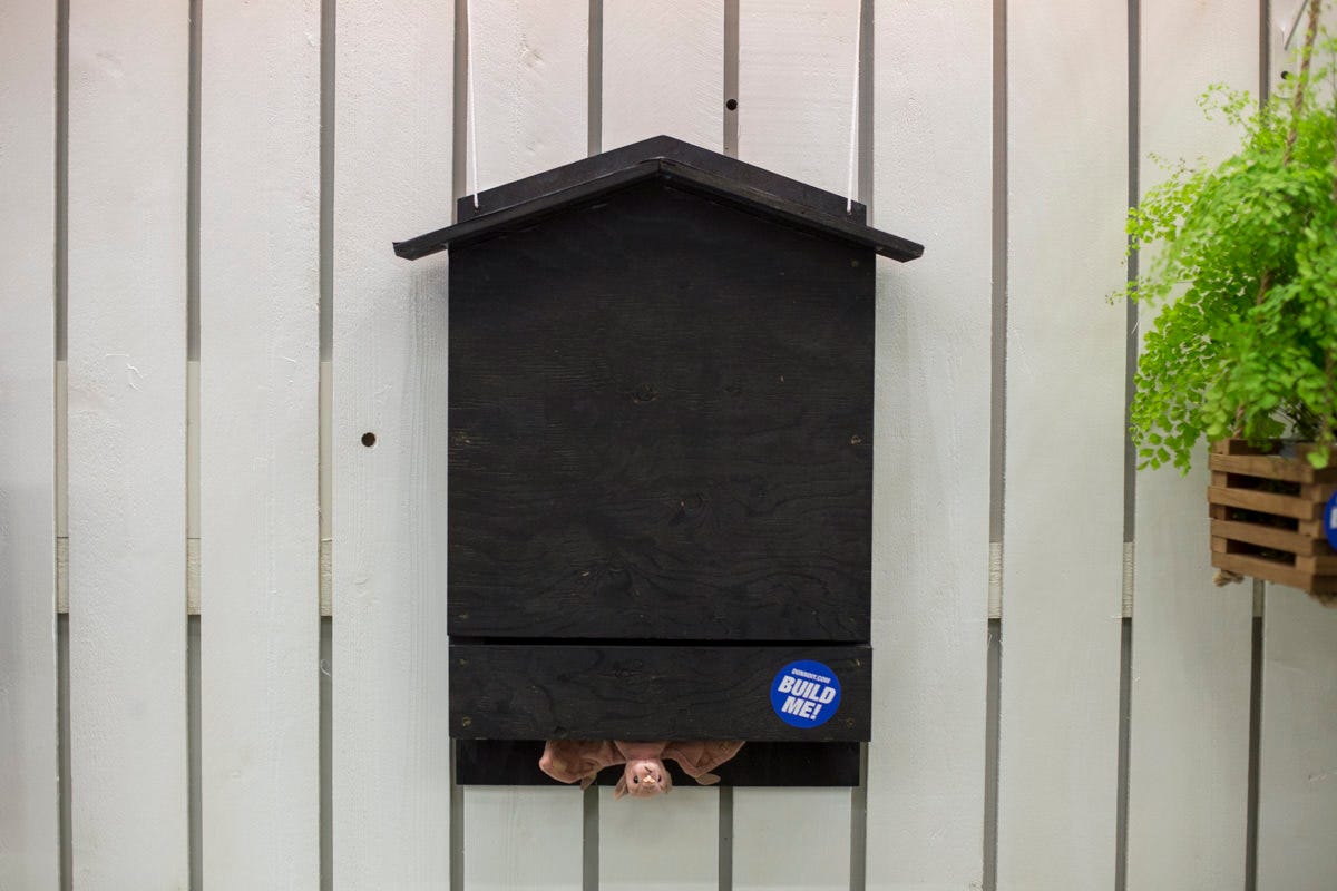 How To Build a Bat House