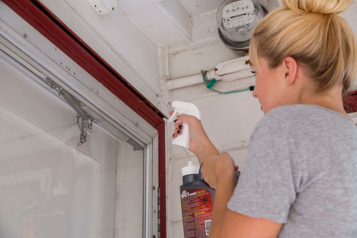 How To Treat Your Home's Exterior For Spiders