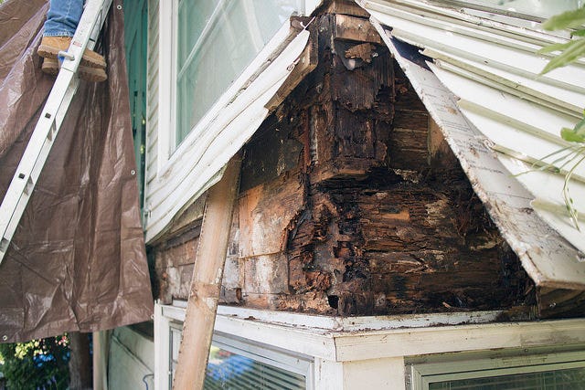 How to Use Epoxy for Rot Repair Part 1: Understanding the Basics
