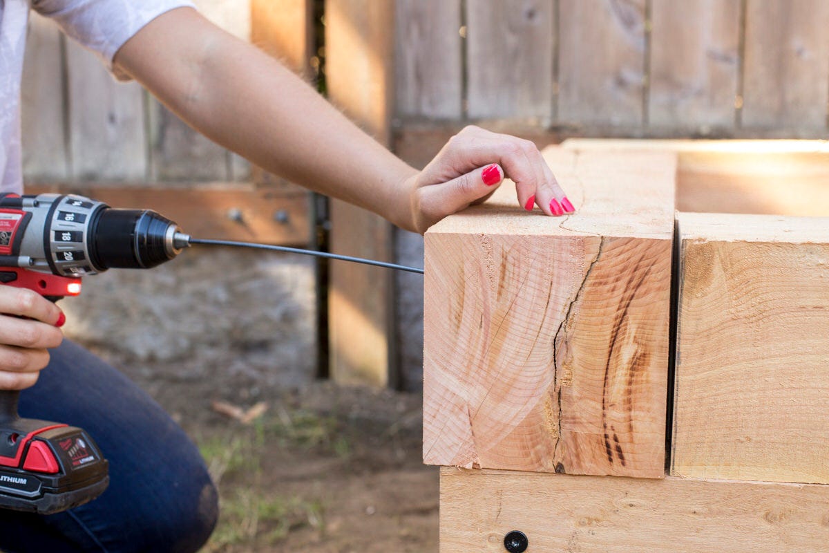 Cedar, Juniper, or Pressure-Treated Wood: What to Use When Building a Raised Bed