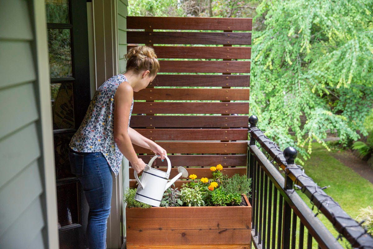 How to Make a DIY Privacy Screen Planter