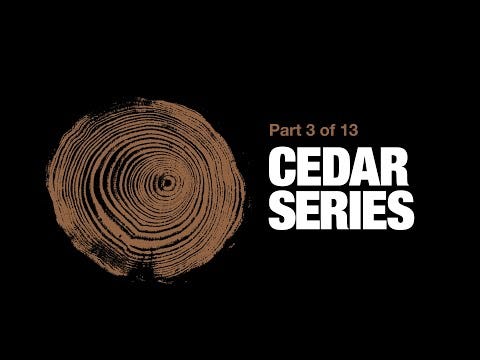 What Are the Best Uses for Western Red Cedar?