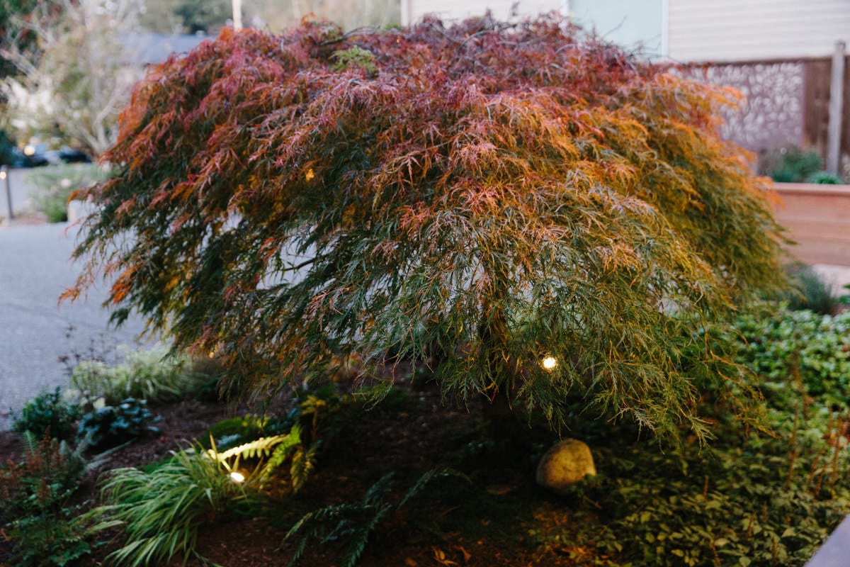 How to Easily Install Outdoor Lights for Your Home