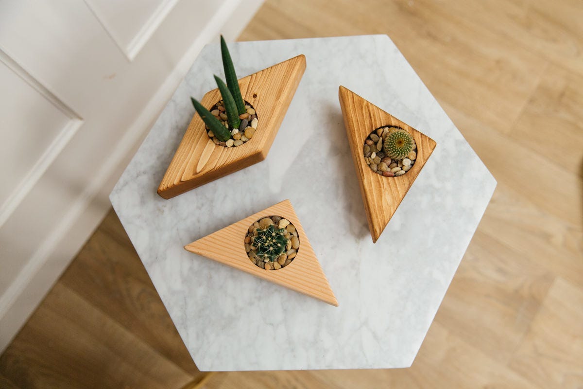 How to Make DIY Mini Succulent Planters