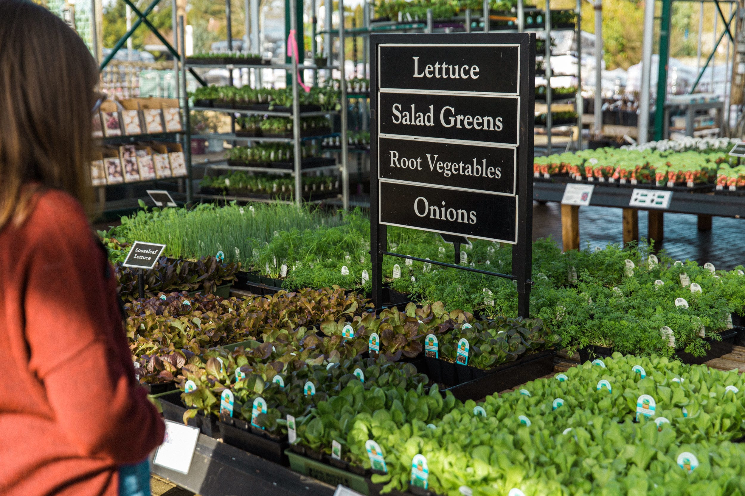 Top Gardening Projects for Spring