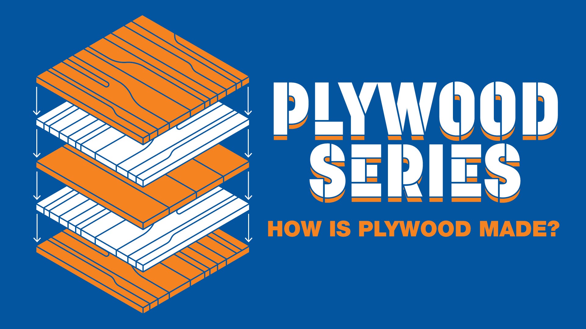 How is Plywood Made?