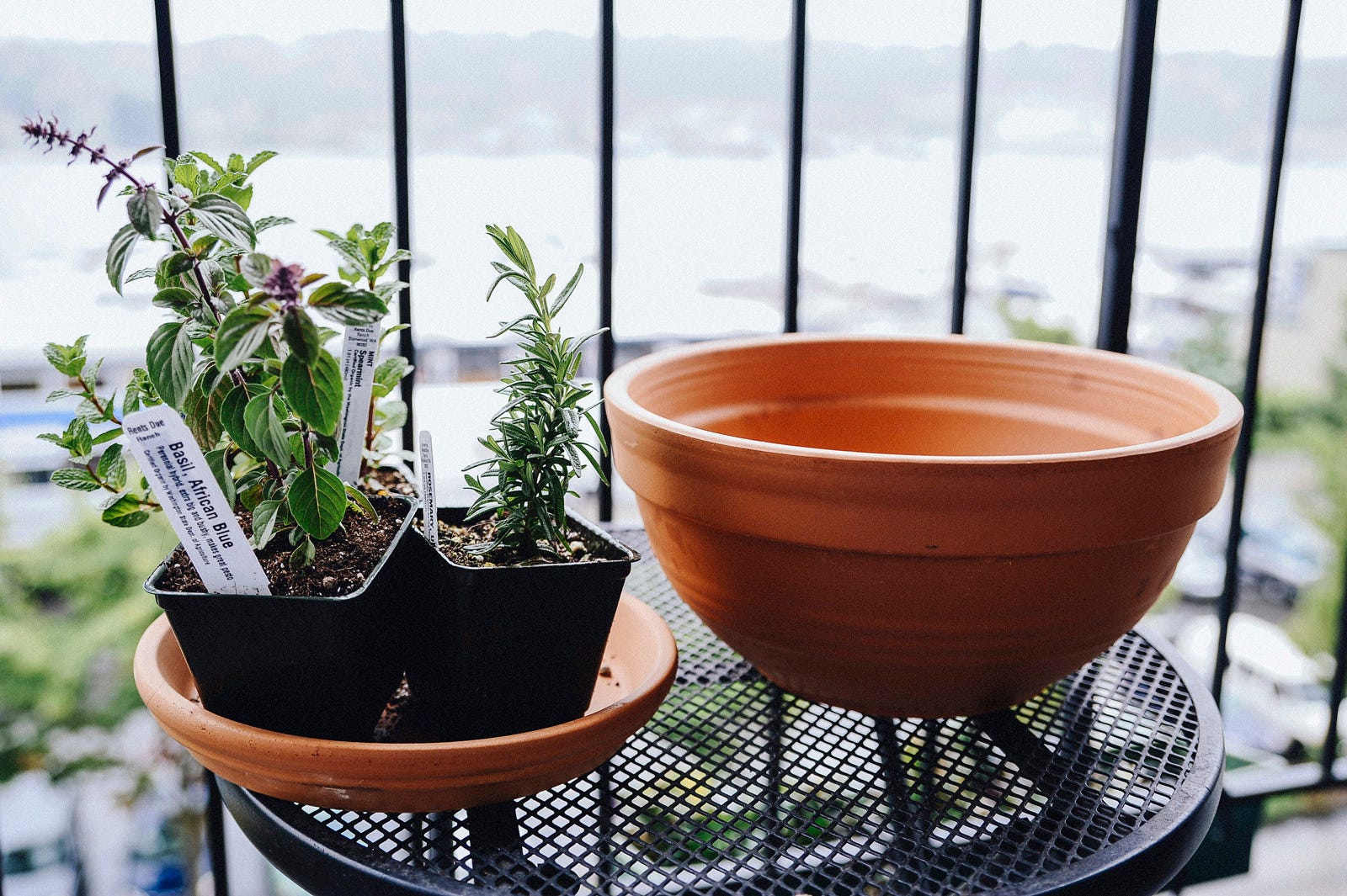 diy herb garden
