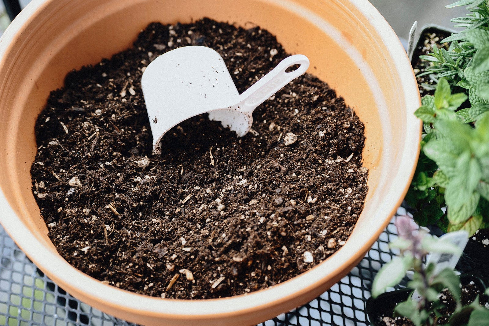 diy herb garden soil