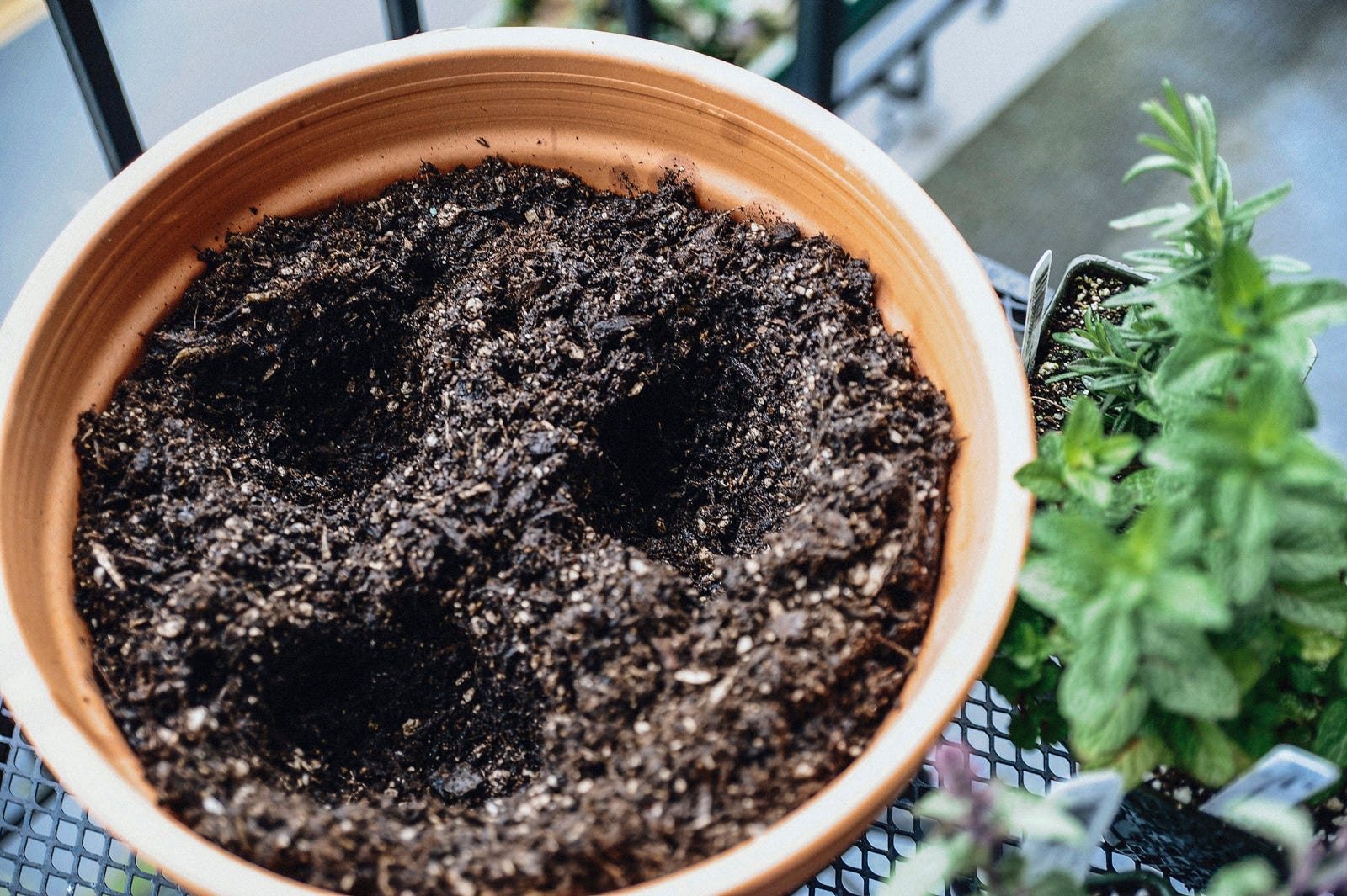 herb garden hole