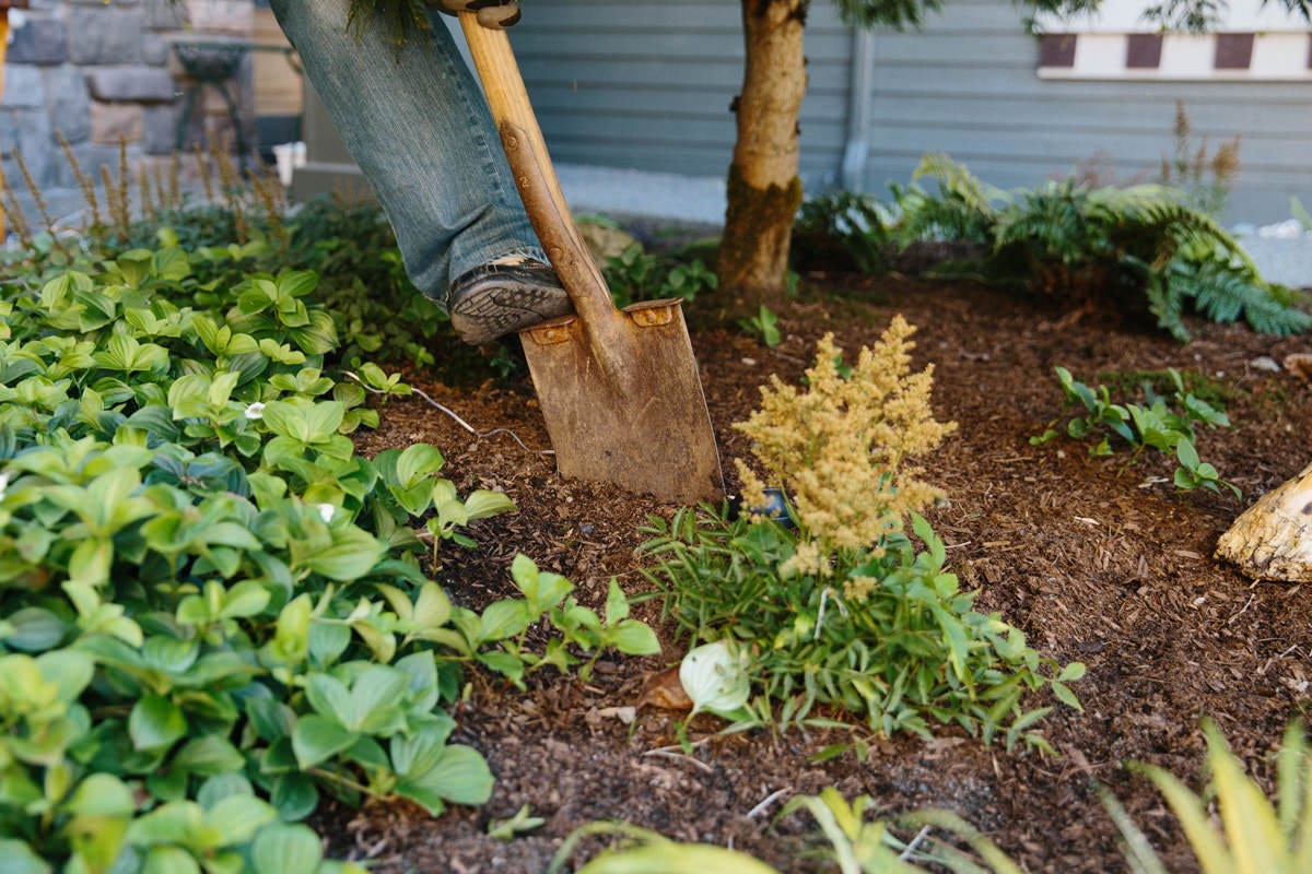 digging in ground digging in ground