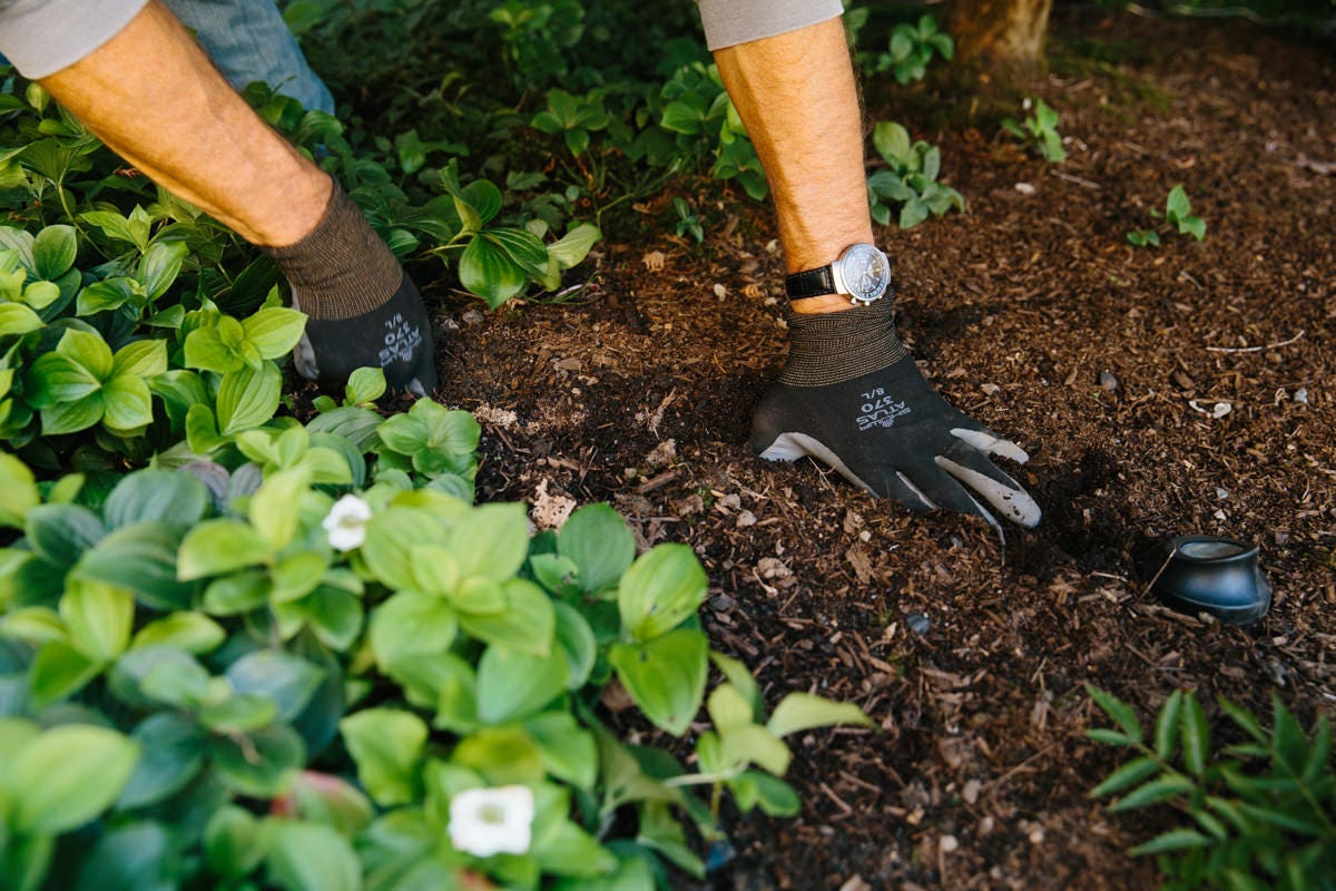 burying trex lighting burying trex lighting