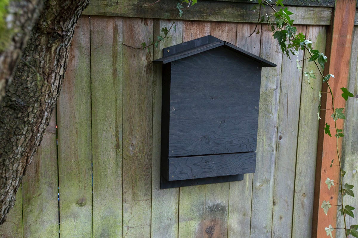 Dunn DIY How to Build a Bat Box Seattle WA 13 Dunn DIY How to Build a Bat Box Seattle WA 13