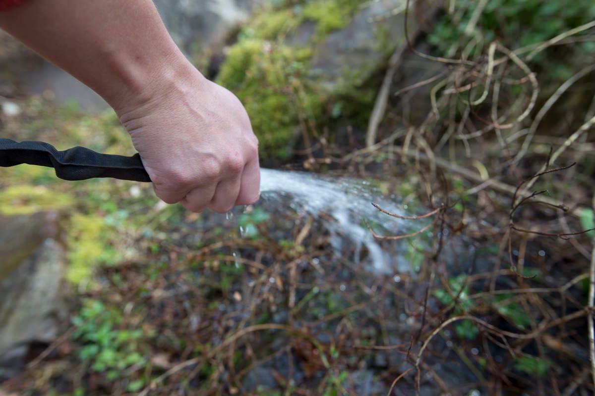 rinsing plants rinsing plants