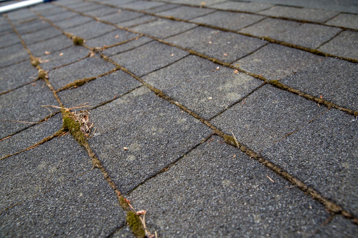 composite roof shingles with moss composite roof shingles with moss