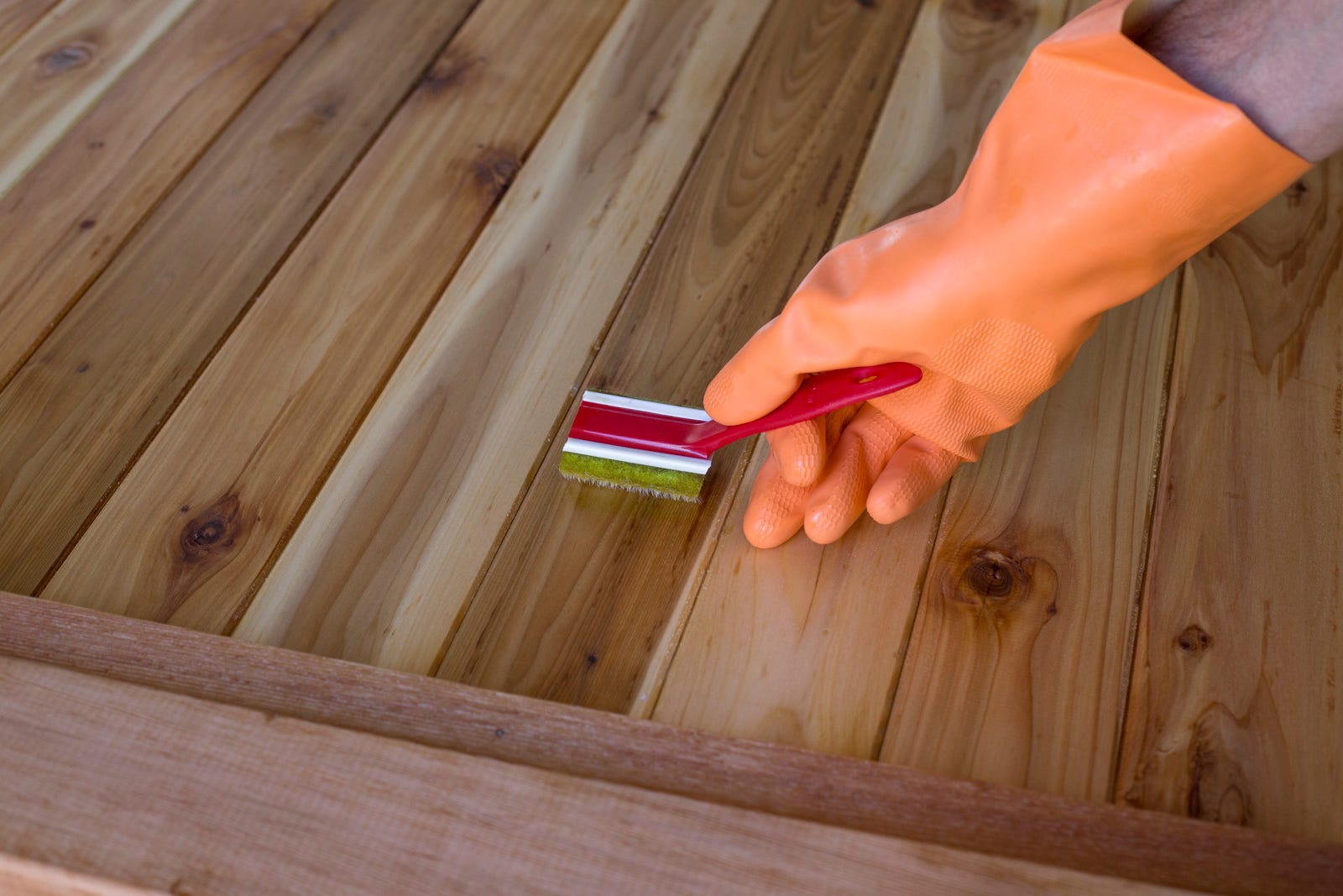 sponge applicator on cedar sponge applicator on cedar