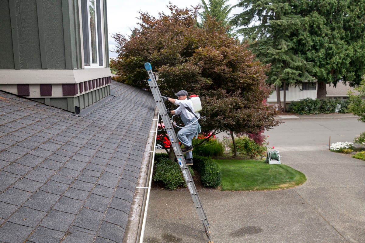 climbing ladder to clean roof climbing ladder to clean roof