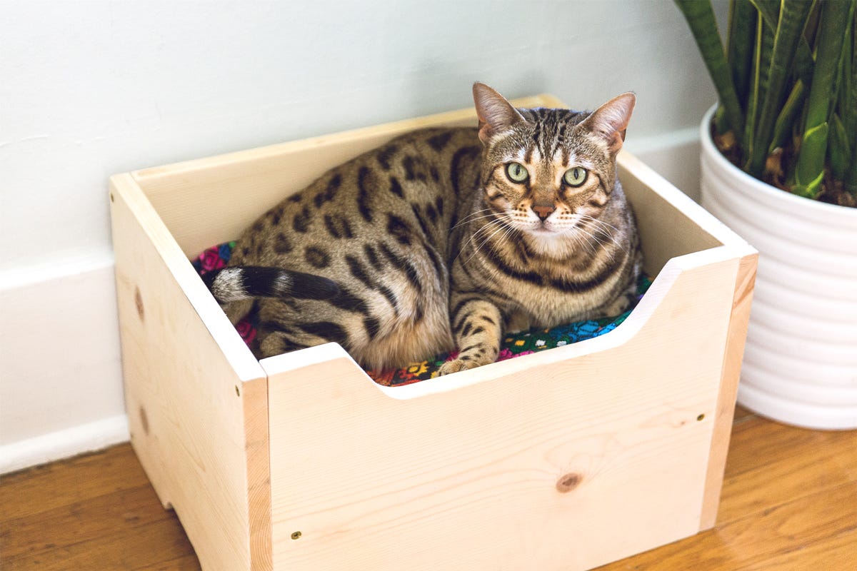 how to make a diy cat bed how to make a diy cat bed